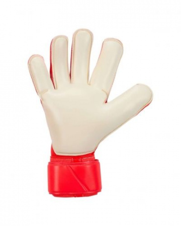 shop_property_file_508719_33649