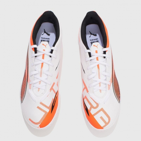 goods_27622_1_thumb5